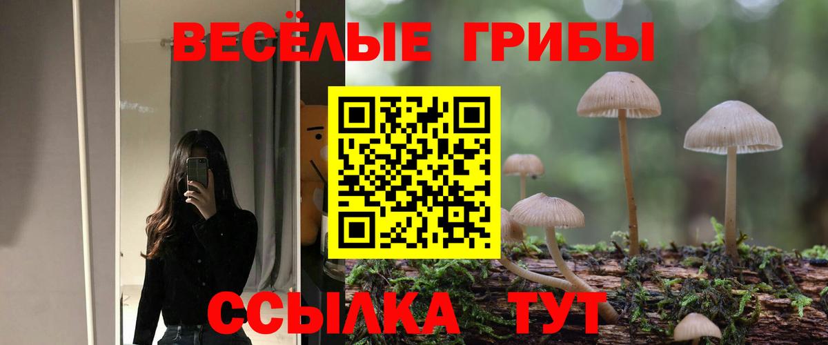 Галлюциногенные грибы Magic Shrooms Киселёвск